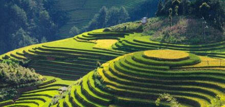 Visumvereisten voor paspoorthouders van België die reizen naar Vietnam