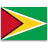 Guyana  aanvraagformulier voor België inwoners.