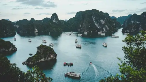 Visumvereisten voor paspoorthouders van België die reizen naar Vietnam