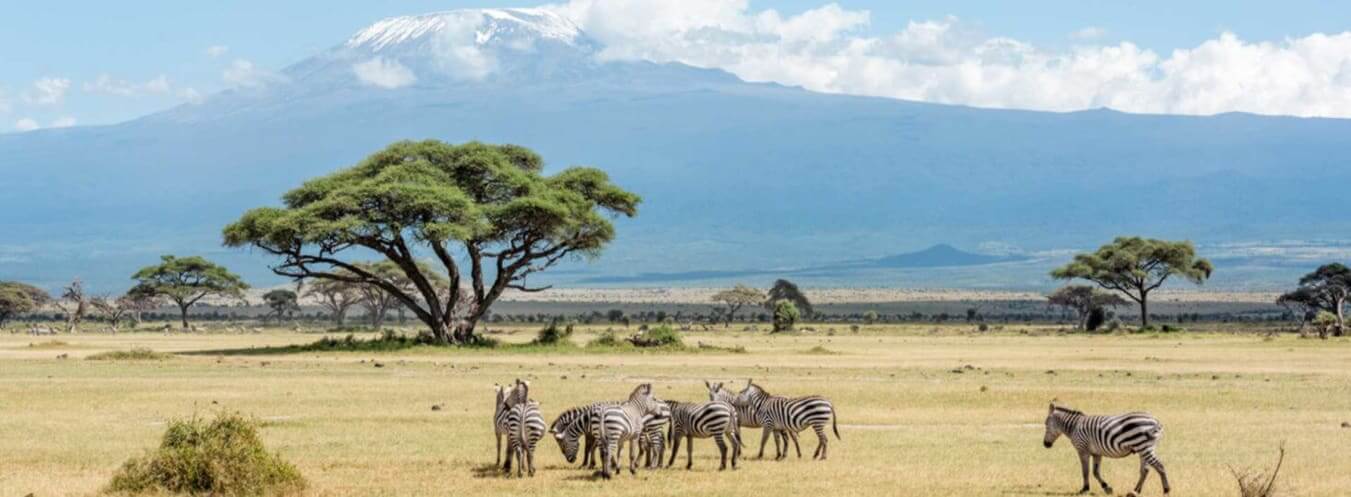 Kenia visumaanvraag en vereisten