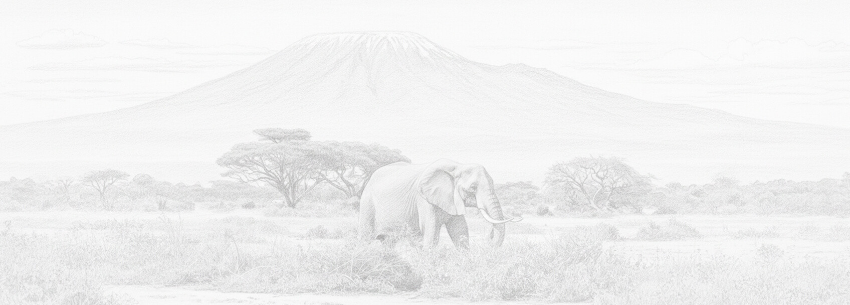 Kameroen visumaanvraag en vereisten